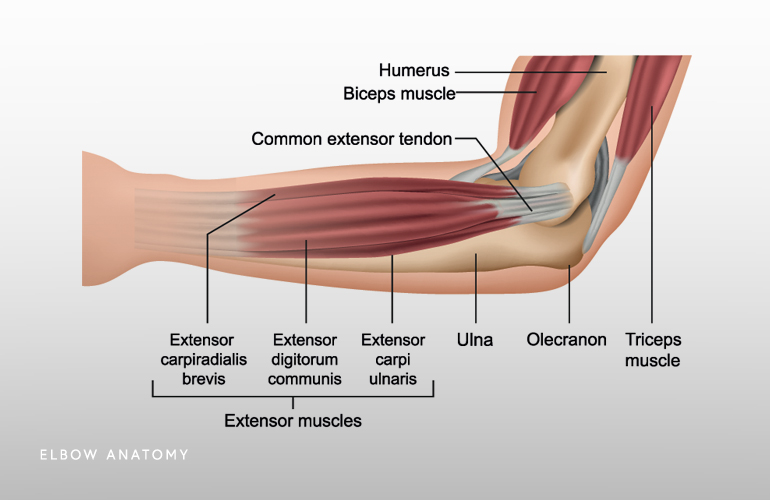 Elbow Zahab Ahsan MD